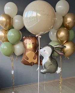 Композиція кульки з гелієм "Виписка" 0557 0557 фото