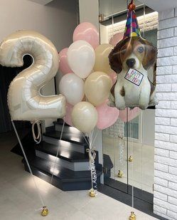 Композиція кульки з гелієм "З Днем Народження, собачка" 1227 1227 фото