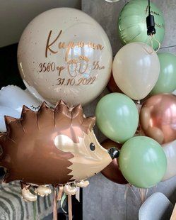 Композиція кульки з гелієм "Виписка" 0244 0244 фото